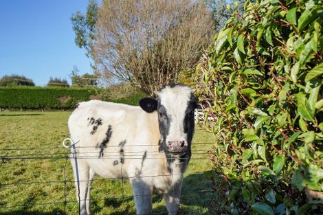 Photo of property in 213 West Plains School Road, West Plains, Invercargill, 9874