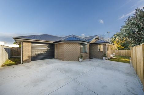 Photo of property in 29a Chelwood Street, Takaro, Palmerston North, 4412