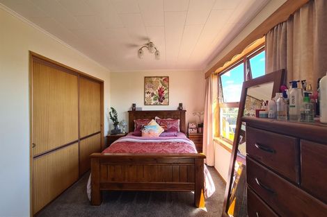 Photo of property in 21 Mclean Terrace, Waipukurau, 4200