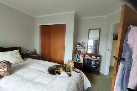 Photo of property in 175f1 Mitchell Street, Brooklyn, Wellington, 6021