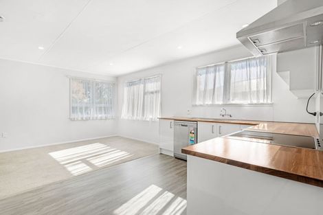 Photo of property in 14 Mcfarlane Place, Springlands, Blenheim, 7201
