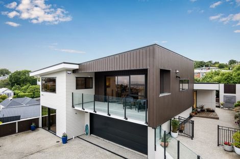 Photo of property in 5 Havelock Street, Mornington, Dunedin, 9011