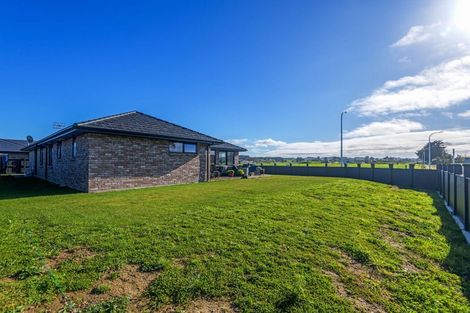 Photo of property in 20 Turoa Street, Feilding, 4702