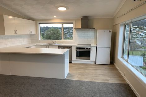 Photo of property in 6a Annie Street, Roslyn, Dunedin, 9010