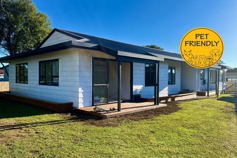 Photo of property in 102 Sandspit Road, Waiuku, 2123