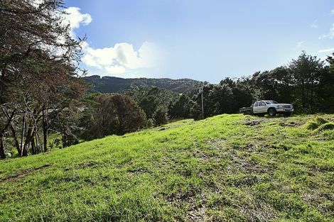 Photo of property in 99 Birdsall Road, Whangateau, 0985