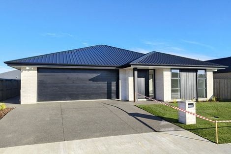 Photo of property in 8 Curtis Street, Woodend, 7610