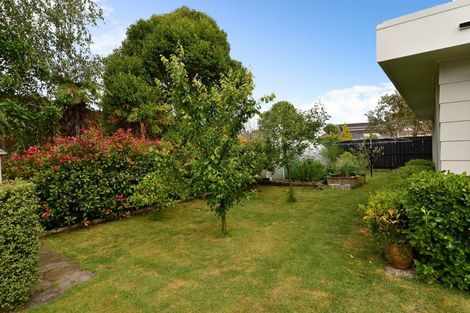 Photo of property in 3 Chequers Avenue, Chartwell, Hamilton, 3210