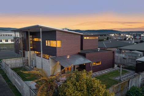 Photo of property in 39 Bristol Street, Levin, 5510