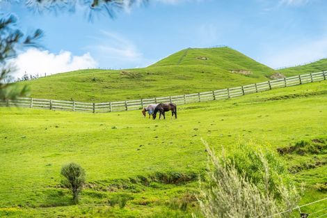 Photo of property in 97 Coroglen Rise, Pukerua Bay, 5026