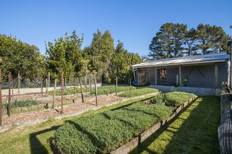 Photo of property in 319 Busby Road, Tahawai, Katikati, 3170