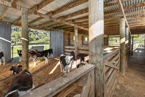 Photo of property in 165 School Road, Manawaru, Te Aroha, 3391