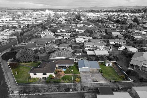 Photo of property in 27 David Street, Morrinsville, 3300
