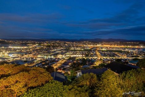 Photo of property in 42 Lerwick Terrace, Melrose, Wellington, 6023