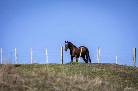 Photo of property in 1517 Whaanga Road, Raglan, 3296