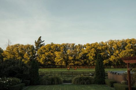 Photo of property in 78 Skewbridge Road, Flaxton, Kaiapoi, 7691