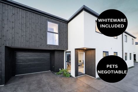 Photo of property in 3/43 Barbour Street, Waltham, Christchurch, 8011