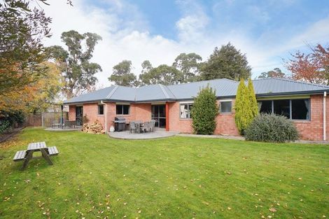 Photo of property in 124 Lowes Road, Rolleston, 7614