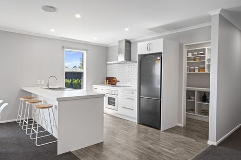 Photo of property in 30 Flint Road, Rolleston, 7614