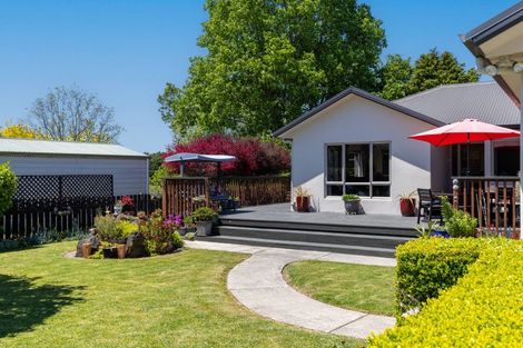 Photo of property in 84 Allen Street, Morrinsville, 3300