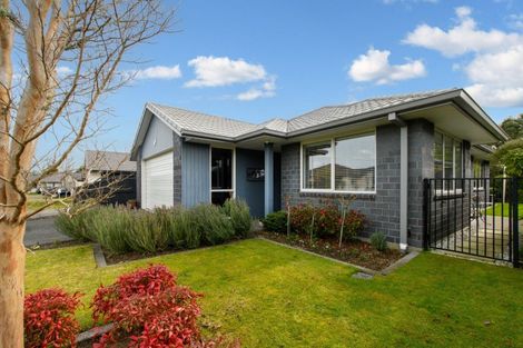 Photo of property in 101 Landing Drive, Pyes Pa, Tauranga, 3112