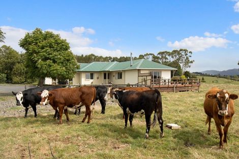 Photo of property in 160a Franklin Road, Waihi, 3682