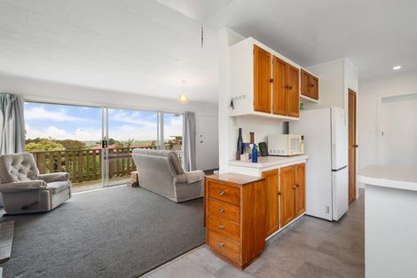 Photo of property in 113 Kingsford Place, Thames, 3500