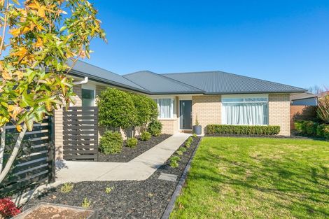 Photo of property in 10 Tupaea Place, Ngaruawahia, 3720