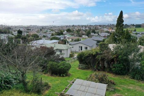 Photo of property in 884c Pakura Street, Te Awamutu, 3800