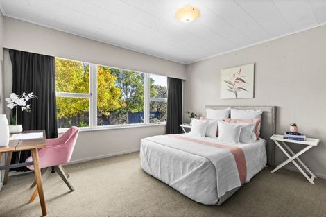 Photo of property in 6 George Place, Havelock North, 4130