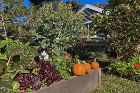 Photo of property in 5 Jessie Street, Maia, Dunedin, 9022