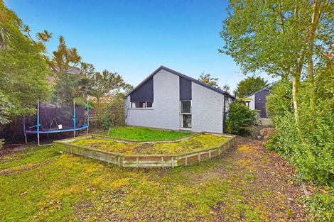 Photo of property in 113 Warrington Street, Mairehau, Christchurch, 8013