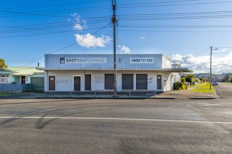Photo of property in 19 Poutini Street, Whanganui East, Whanganui, 4500