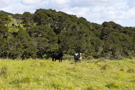 Photo of property in 383 Okahu Road, Kaitaia, 0481