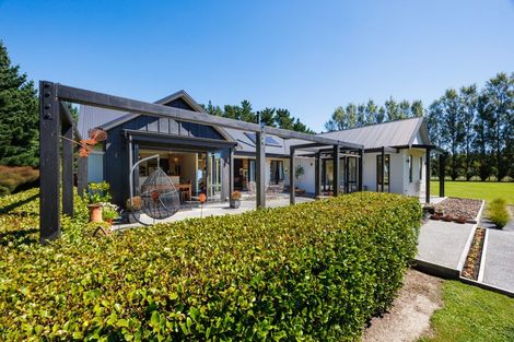 Photo of property in 155b Halcombe Road, Feilding, 4775