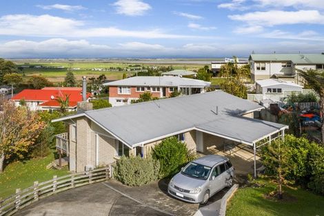 Photo of property in 113 Kingsford Place, Thames, 3500