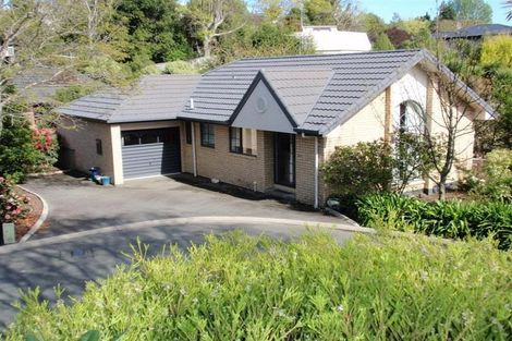Photo of property in 29d Blair Terrace, Richmond, 7020