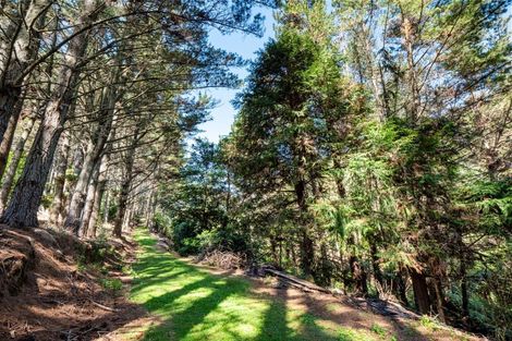 Photo of property in 168 Youngson Road, Whakamarama, Tauranga, 3179