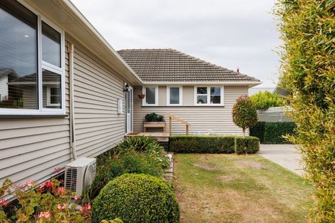 Photo of property in 19 Seddon Street, Takaro, Palmerston North, 4412