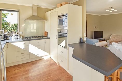 Photo of property in 87 Ostler Road, Twizel, 7901