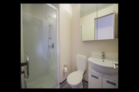 Photo of property in Dual Apartments, 108/142u Vivian Street, Te Aro, Wellington, 6011