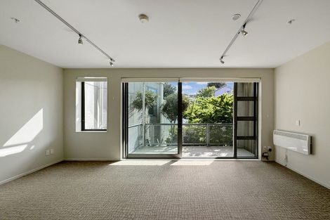 Photo of property in Masina Apartments, 204/80u Riddiford Street, Newtown, Wellington, 6021