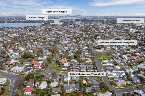 Photo of property in 25 Marsh Avenue, Forrest Hill, Auckland, 0620
