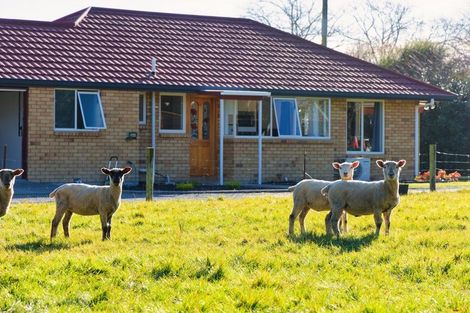 Photo of property in 8 Reeves Street, Cheviot, 7310