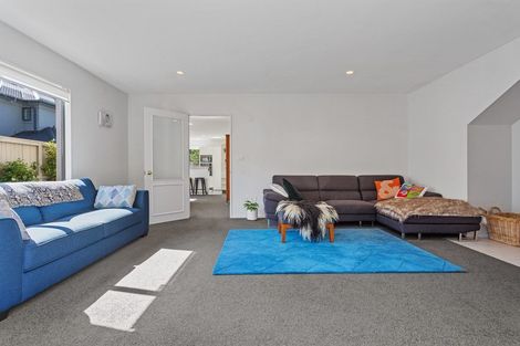 Photo of property in 53 Hawkesbury Avenue, St Albans, Christchurch, 8014