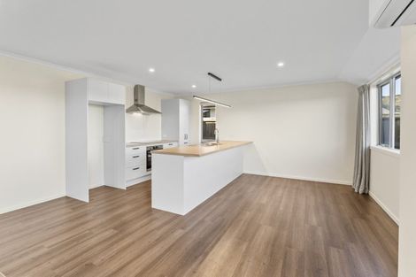 Photo of property in 43 Camberley Road, Richmond, 7020