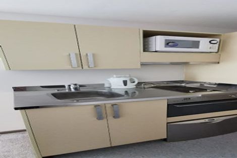 Photo of property in Dual Apartments, 108/142u Vivian Street, Te Aro, Wellington, 6011