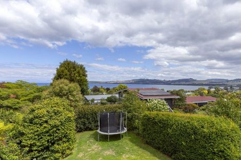 Photo of property in 45 Rokino Road, Taupo, 3330
