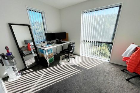 Photo of property in 66 Makamaka Lane, Albany Heights, Auckland, 0632