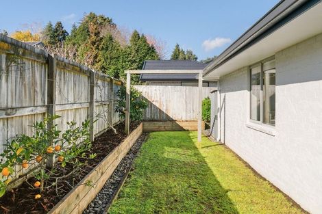 Photo of property in 36 Mervyn Place, Ohauiti, Tauranga, 3112